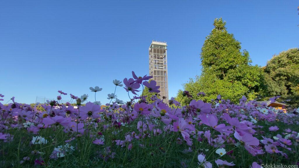 浜名湖ガーデンパーク