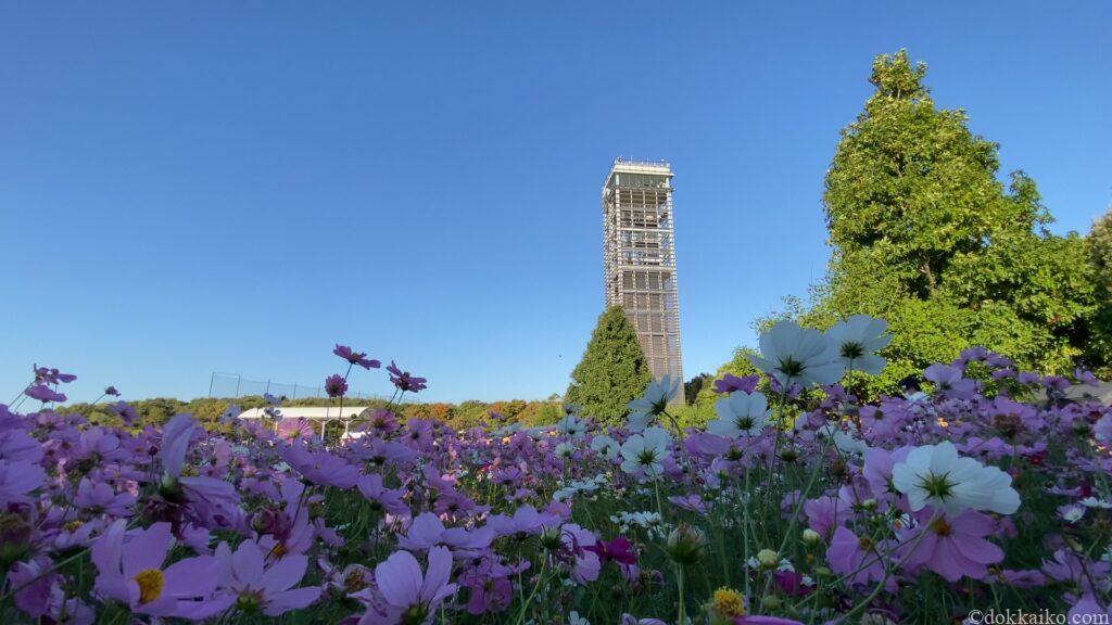 浜名湖ガーデンパーク