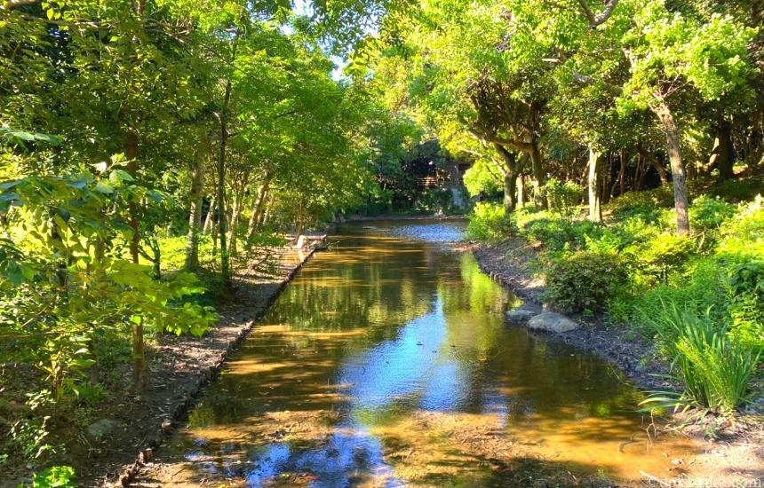 遠州灘海浜公園・風車公園