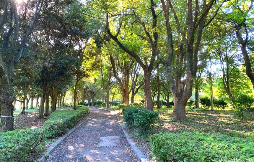 遠州灘海浜公園・風車公園