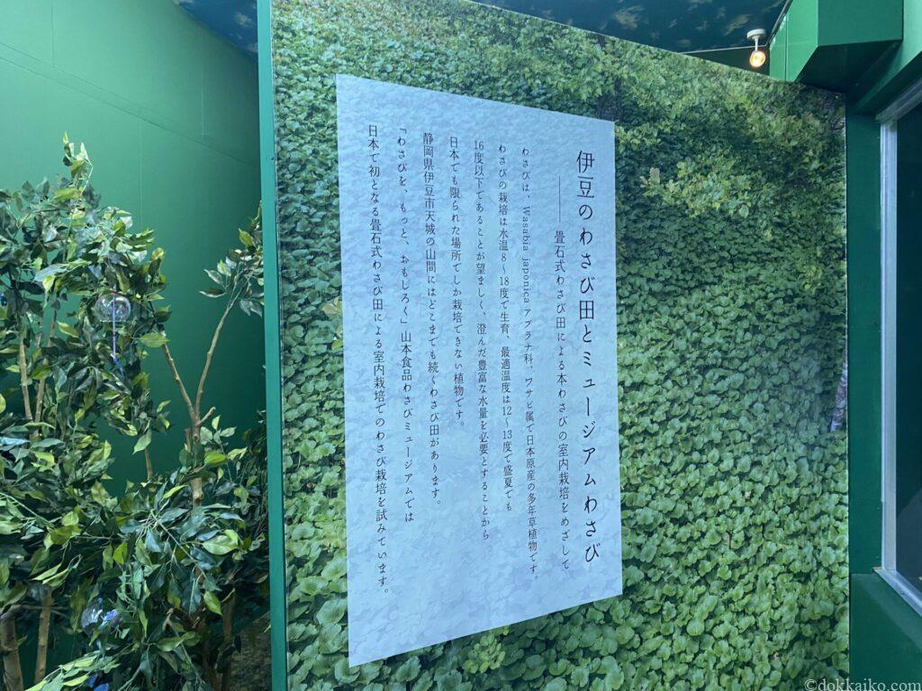 伊豆わさびミュージアム