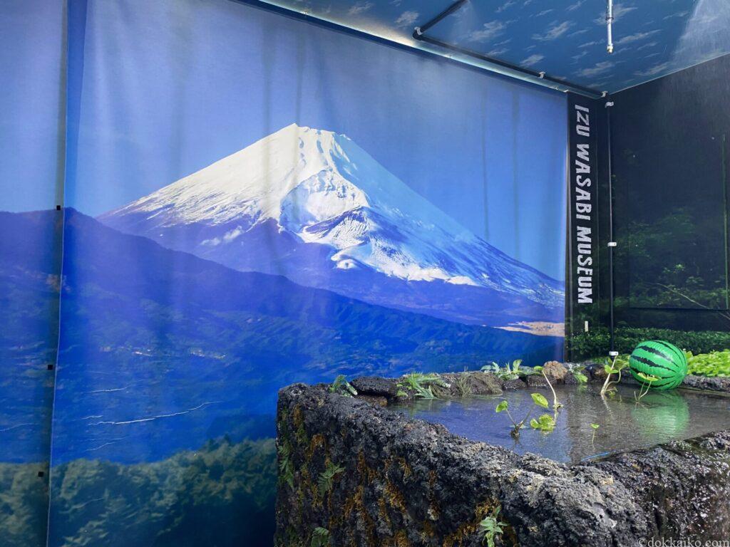 伊豆わさびミュージアム