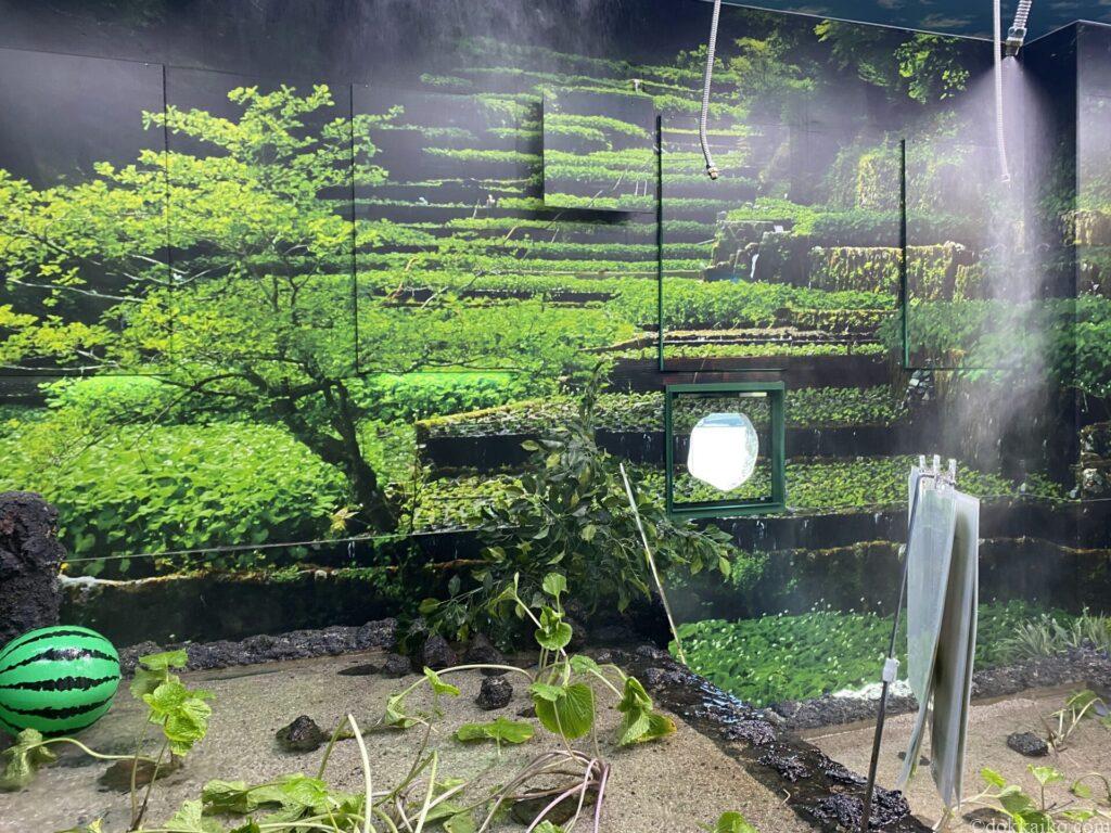 伊豆わさびミュージアム