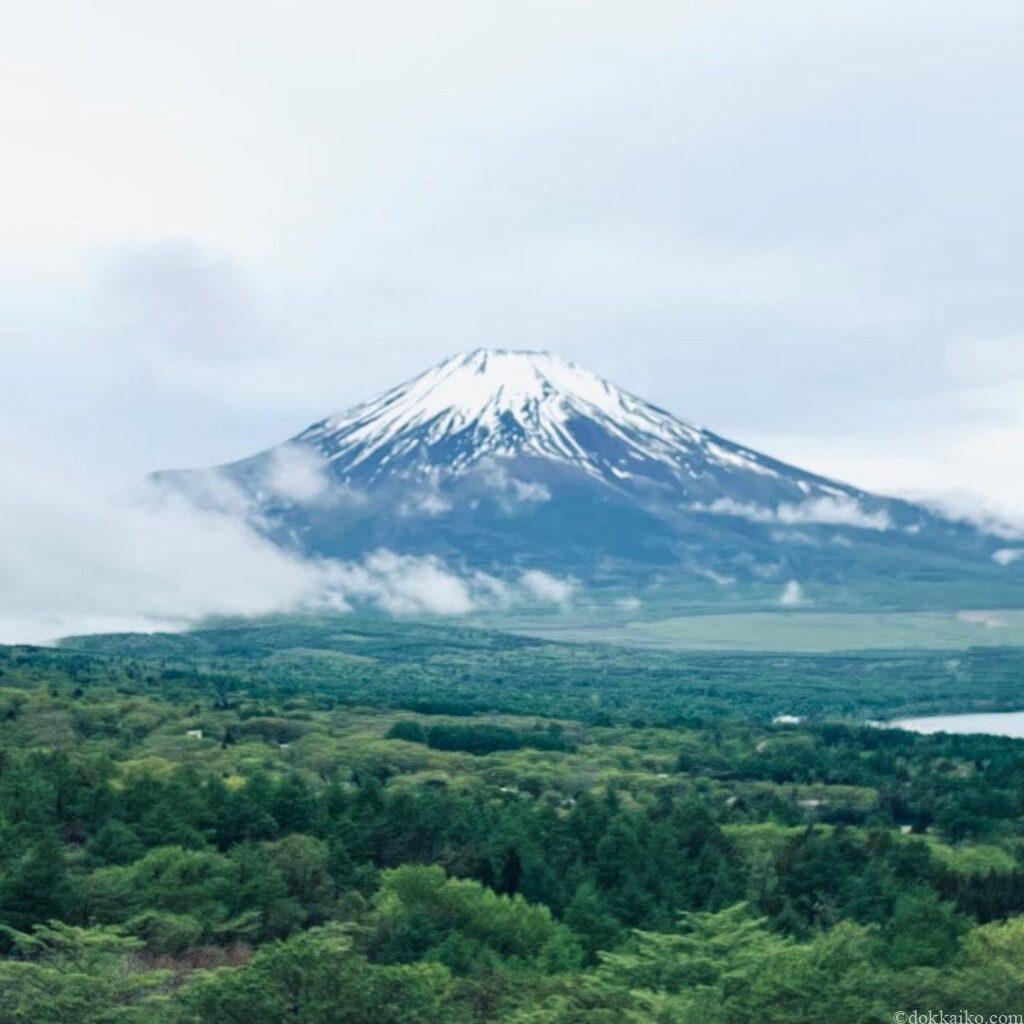 どっかいこ静岡 フォトコンテスト